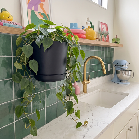 Leafies™ Spotlight Planter