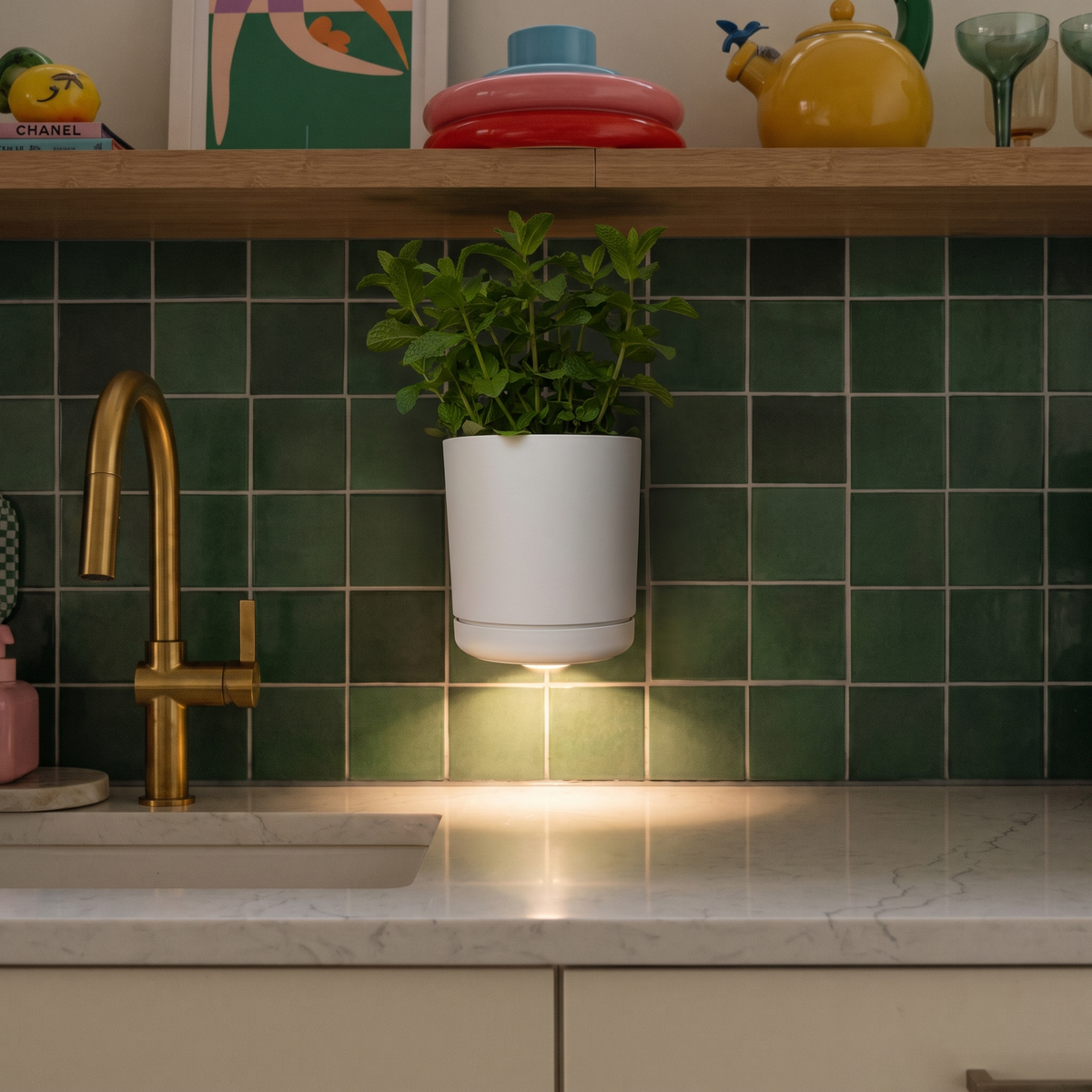 Leafies™ Spotlight Planter